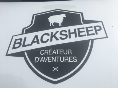 logo blacksheep